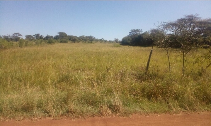 5 acres at gatuanyaga 