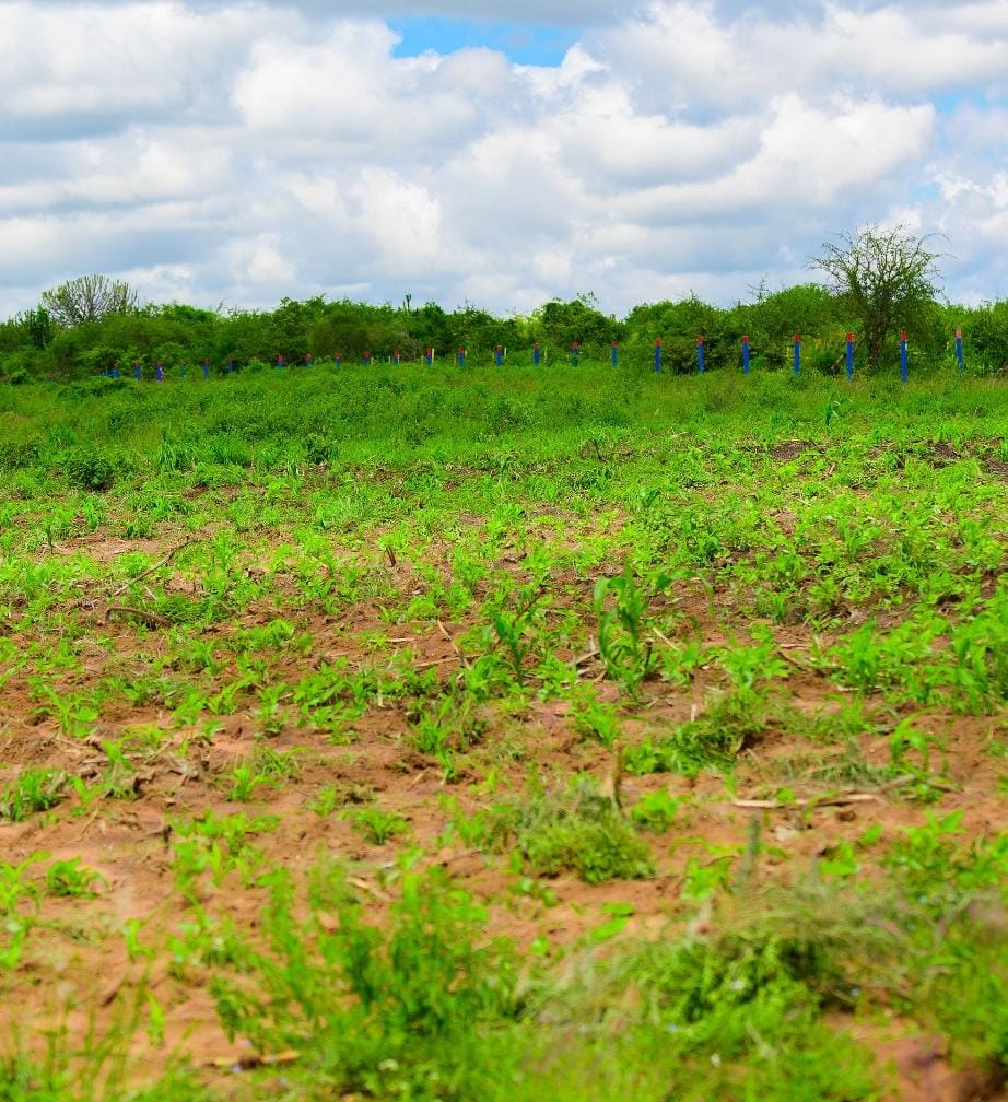 Matuu prime plots for sale 