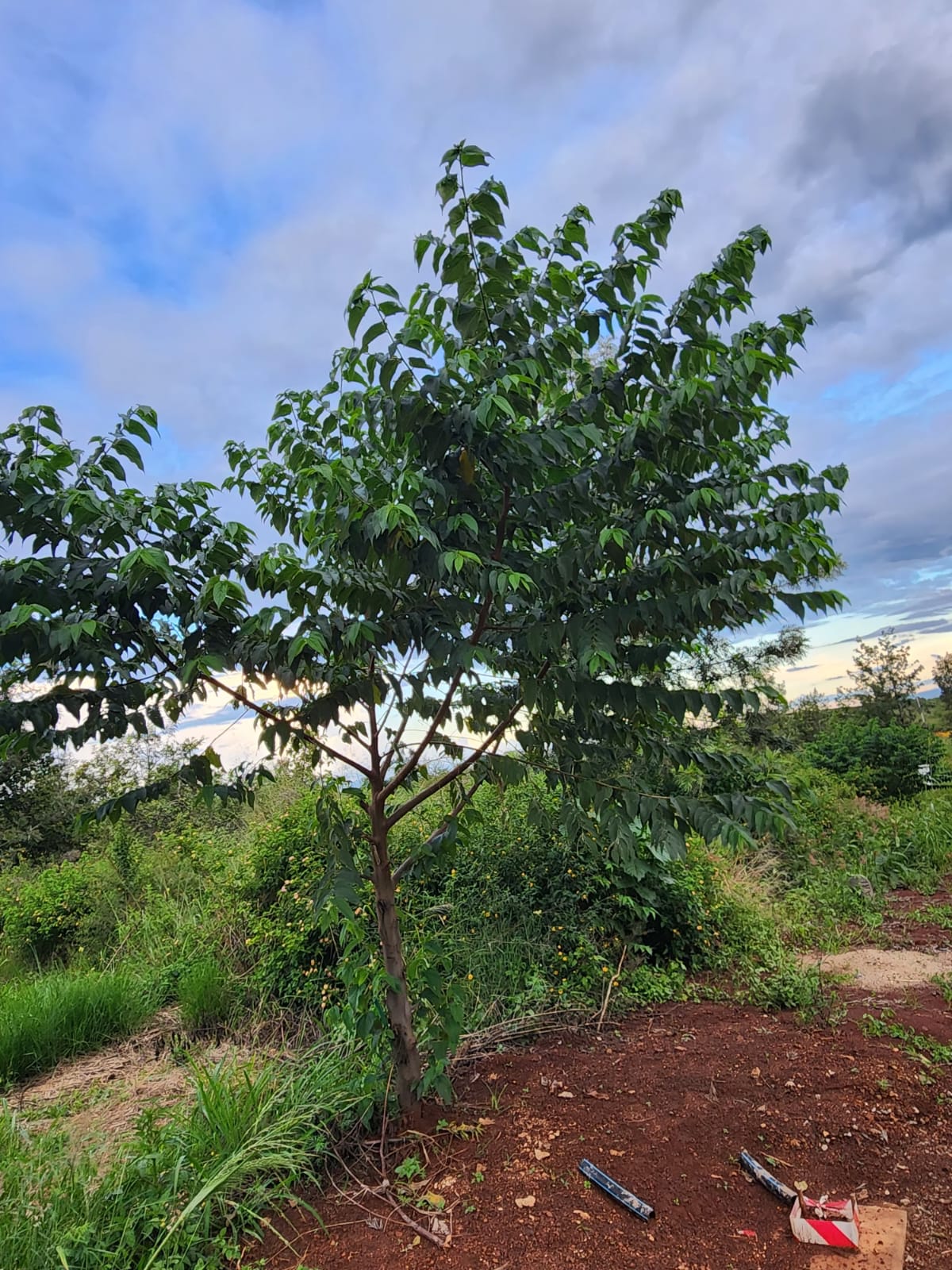 🏘️ Modern Residential Plot for Sale in Tatu City KIAMBU County — Prime Investment Opportunity | KultaProperties