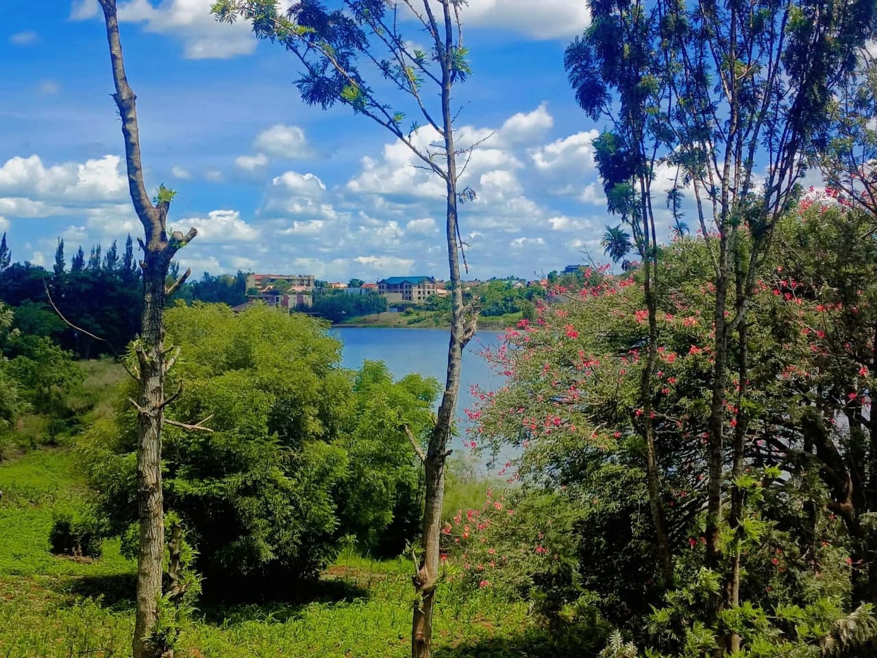 Scenic Residential Plots For Sale in Twiga Estate, Ruiru