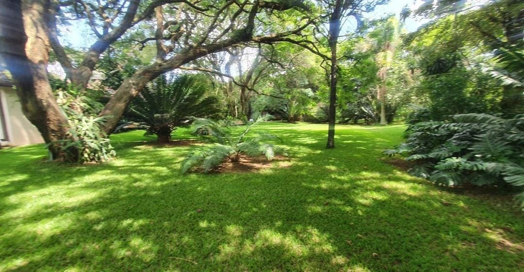 Karen 4.45 Acre Property on Sale 
