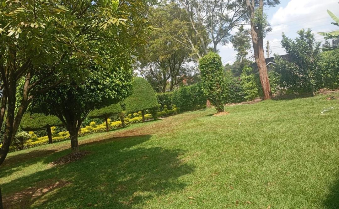 Muthaiga North 6 Bedroom +SQ House for Rent 