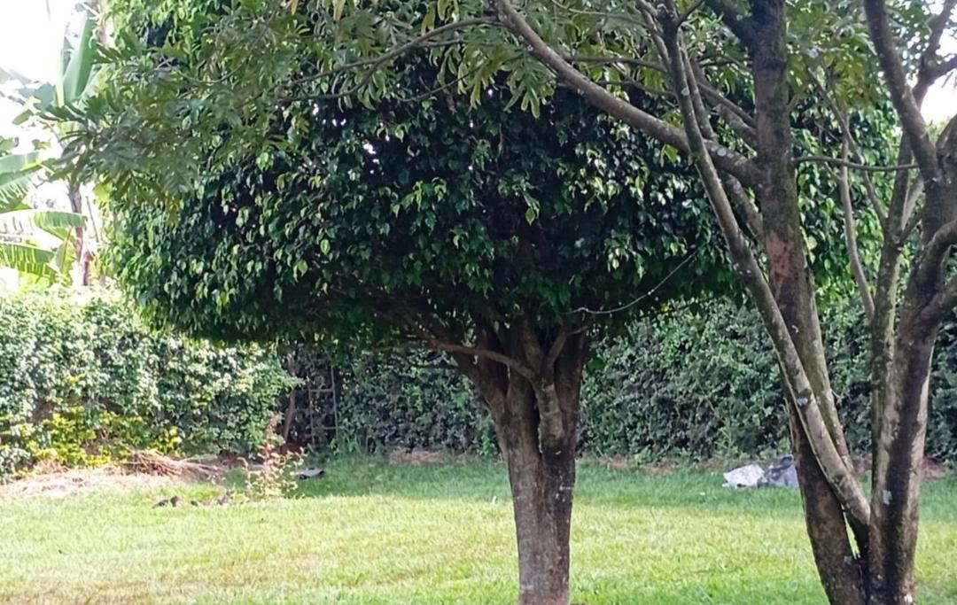 Muthaiga North 6 Bedroom +SQ House for Rent 