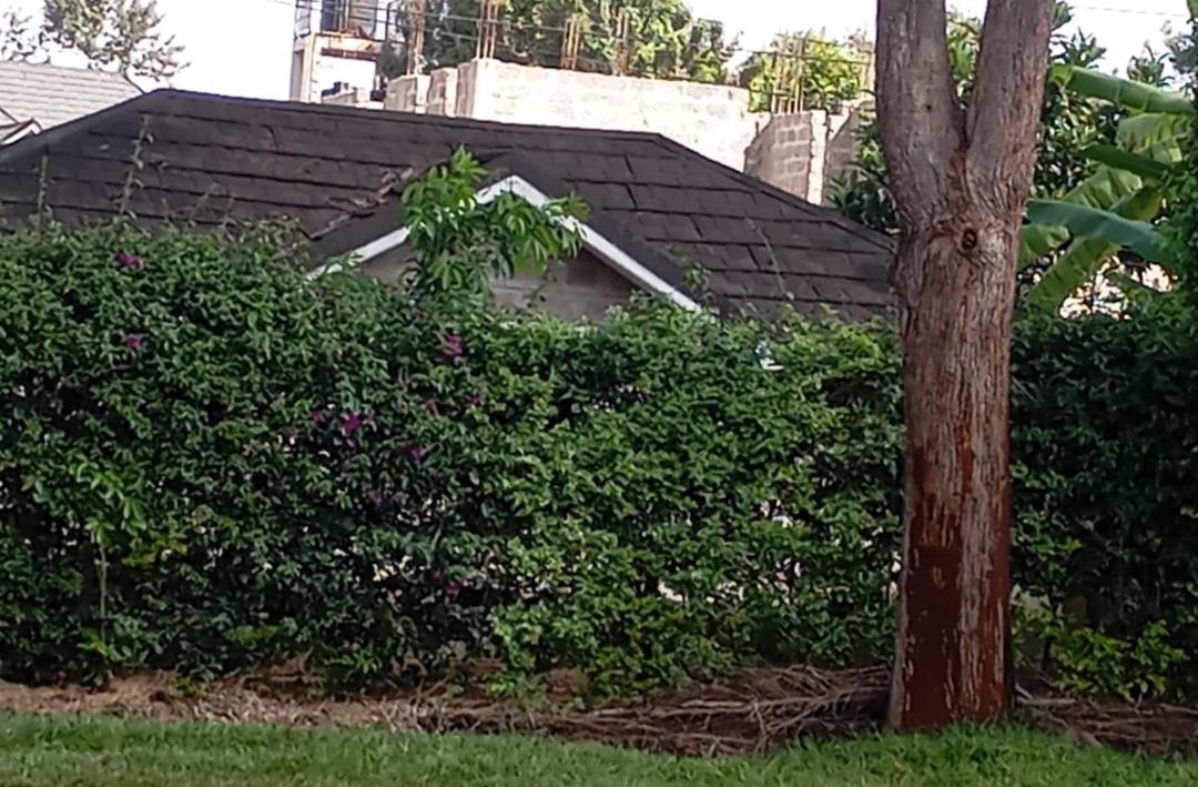 Muthaiga North 6 Bedroom +SQ House for Rent 