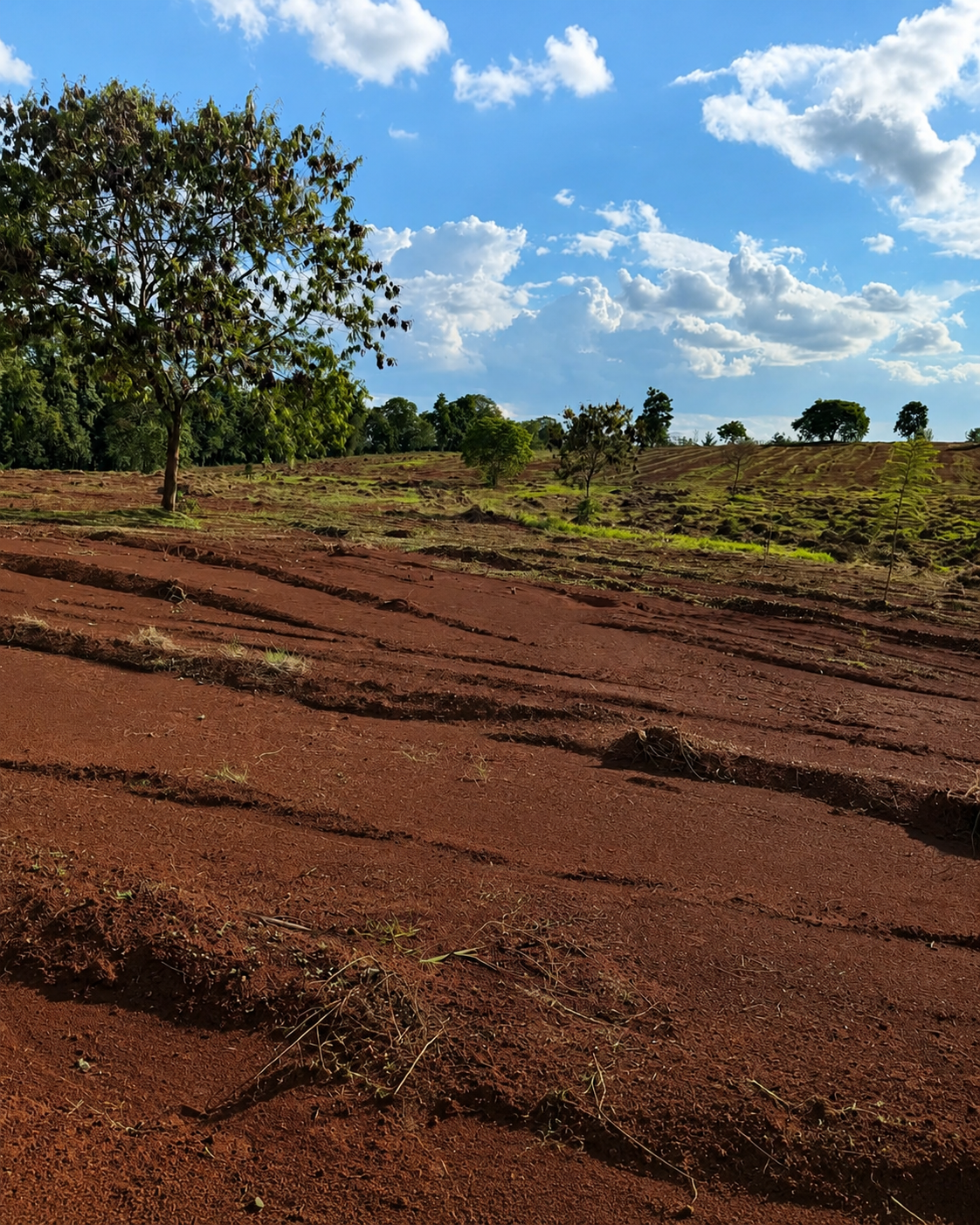Quarter Acre Serviced Plots for Sale on Kenyatta Road