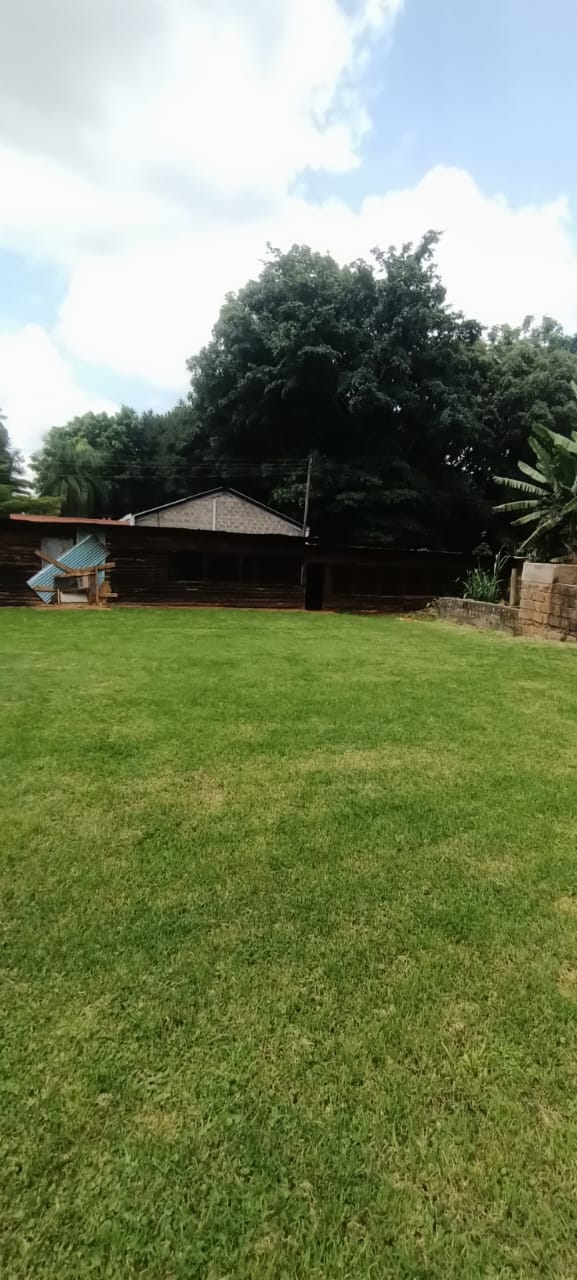 🏠 Modern 3-Bedroom House for Rent in kiambu road KIAMBU County — Prime Investment Opportunity | KultaProperties