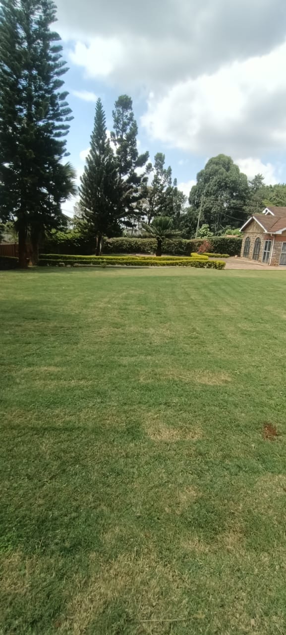 🏠 Modern 3-Bedroom House for Rent in kiambu road KIAMBU County — Prime Investment Opportunity | KultaProperties