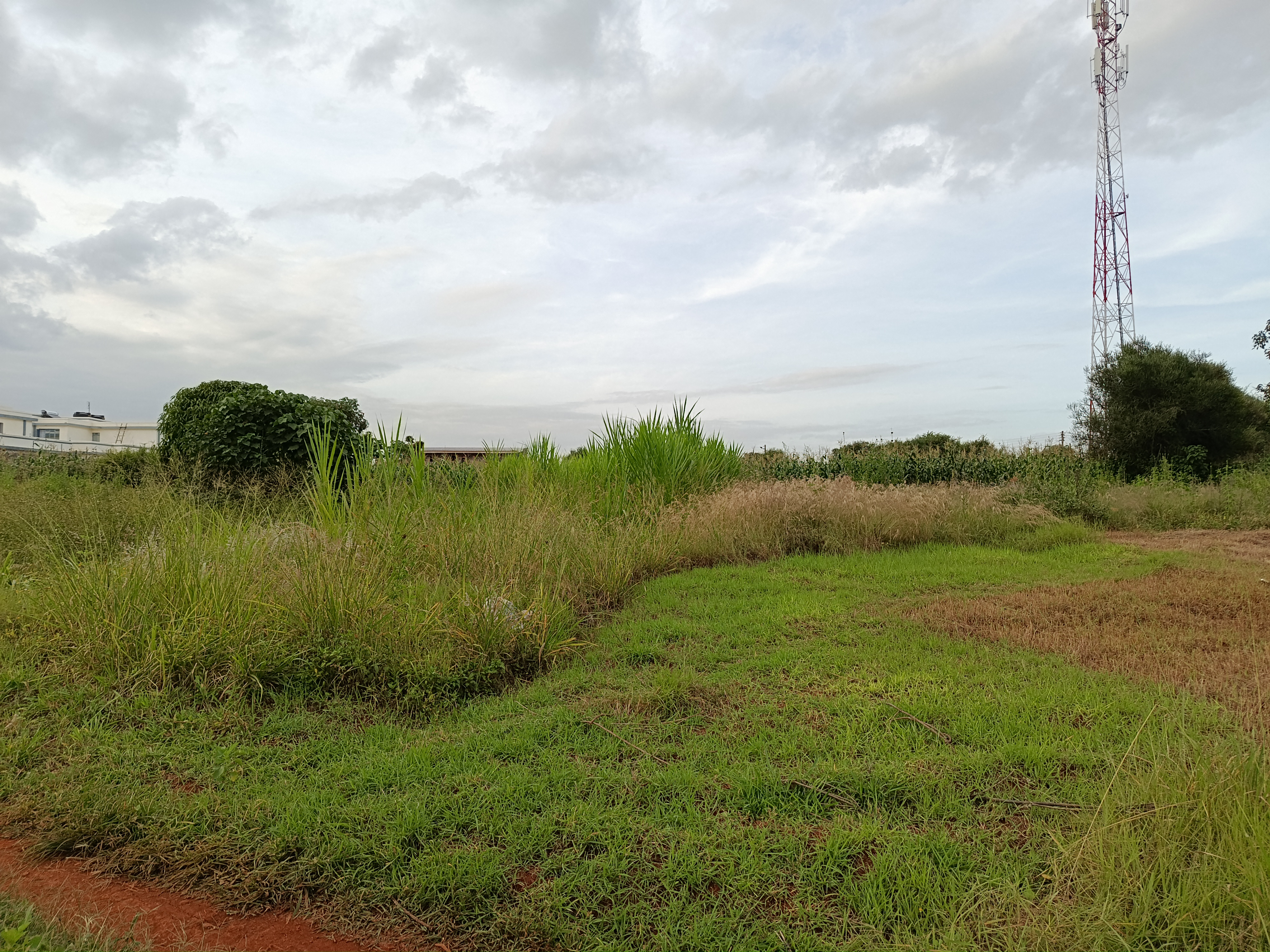 1/8 Acre (50×100) Residential Plots for Sale in Mugutha, Ruiru