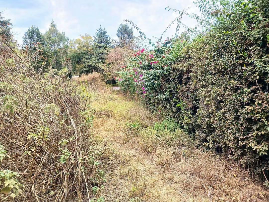 Commercial Plot for Sale touching Kiganjo Road
