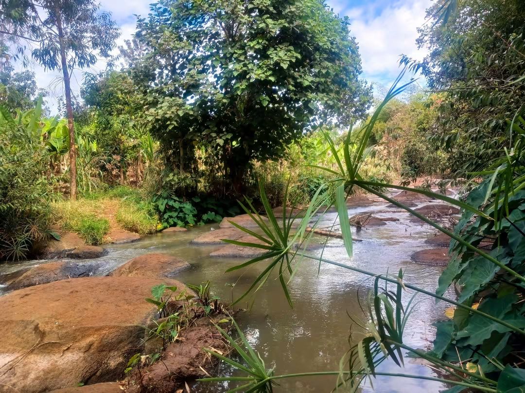 5 Acre Farm for Sale in Maragua | Sammer, Murang'a