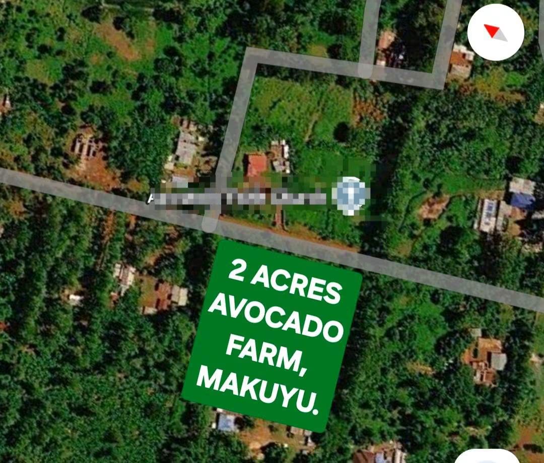 2 Acre Avocado Farm for Sale in Makuyu
