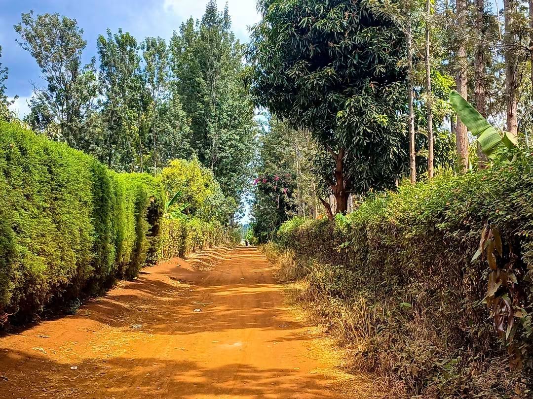 2 Acre Avocado Farm for Sale in Makuyu