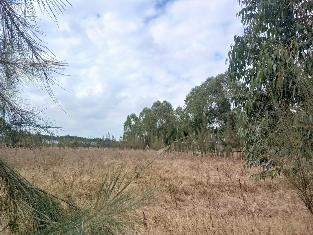 4-Acre Industrial Land for Sale in Ruiru | Eastern Bypass