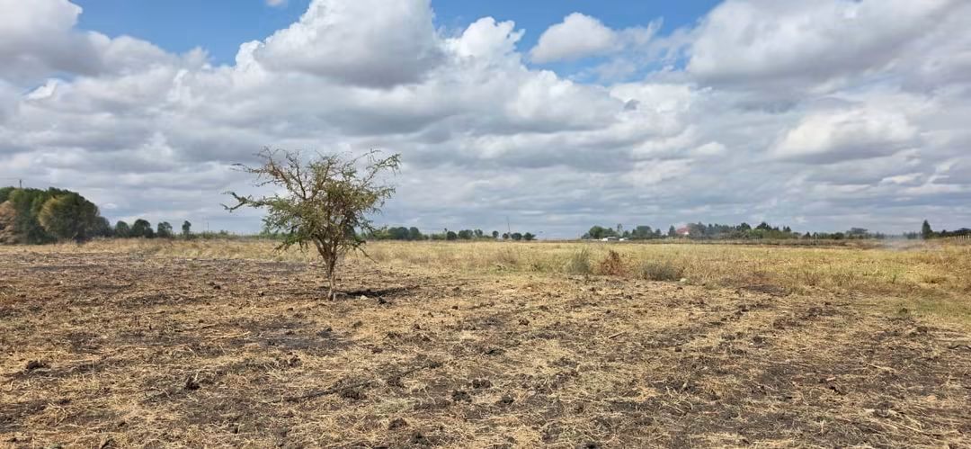 9-Acre Agribusiness Farm For Sale, Kisaju Plains