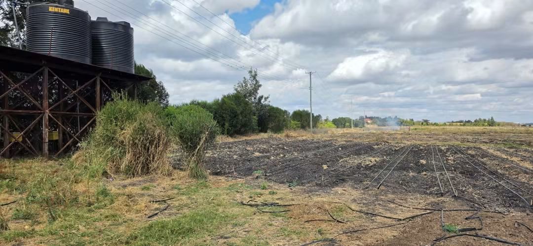 9-Acre Agribusiness Farm For Sale, Kisaju Plains