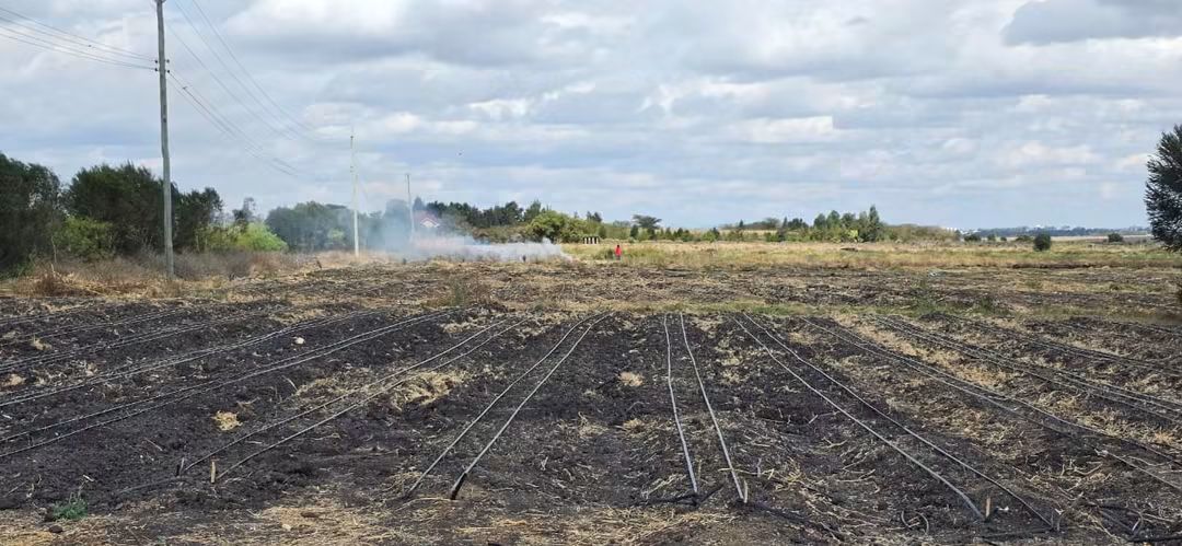 9-Acre Agribusiness Farm For Sale, Kisaju Plains