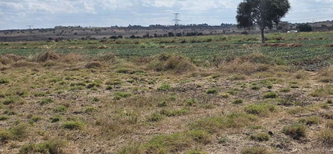 9-Acre Agribusiness Farm For Sale, Kisaju Plains