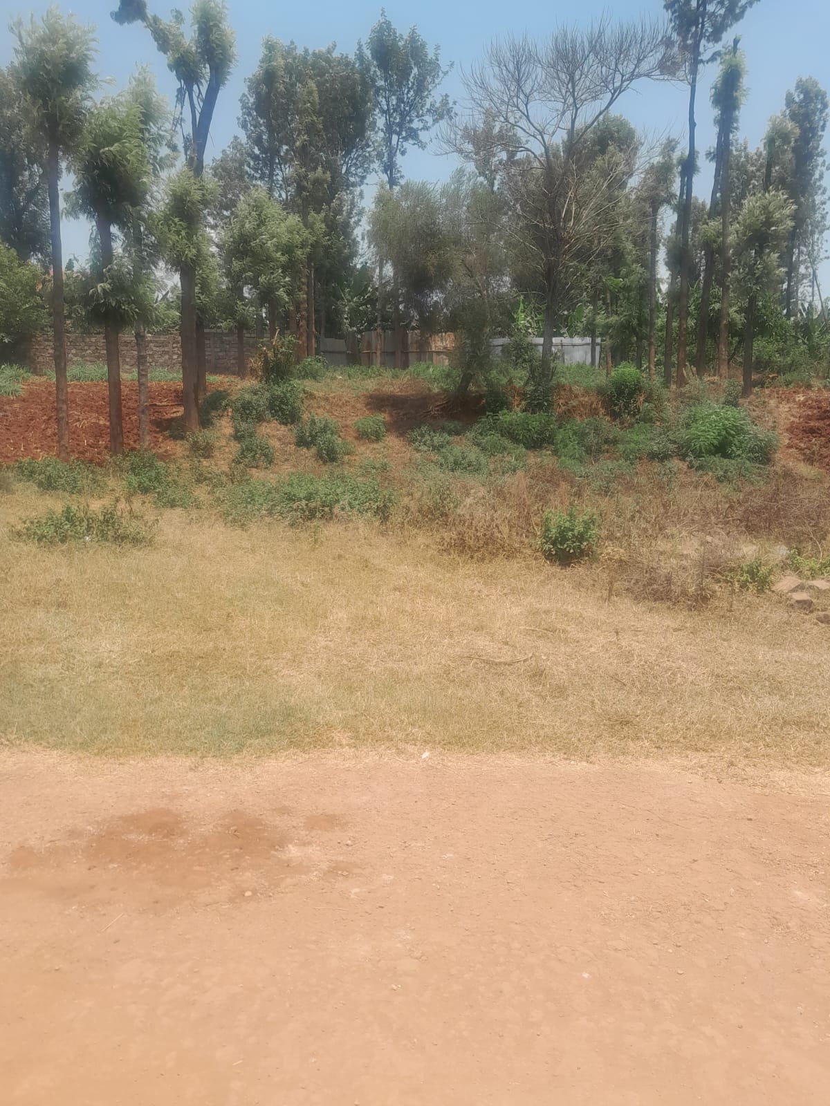 ¼-Acre Residential Land for Sale in Kiamumbi Kiambu 