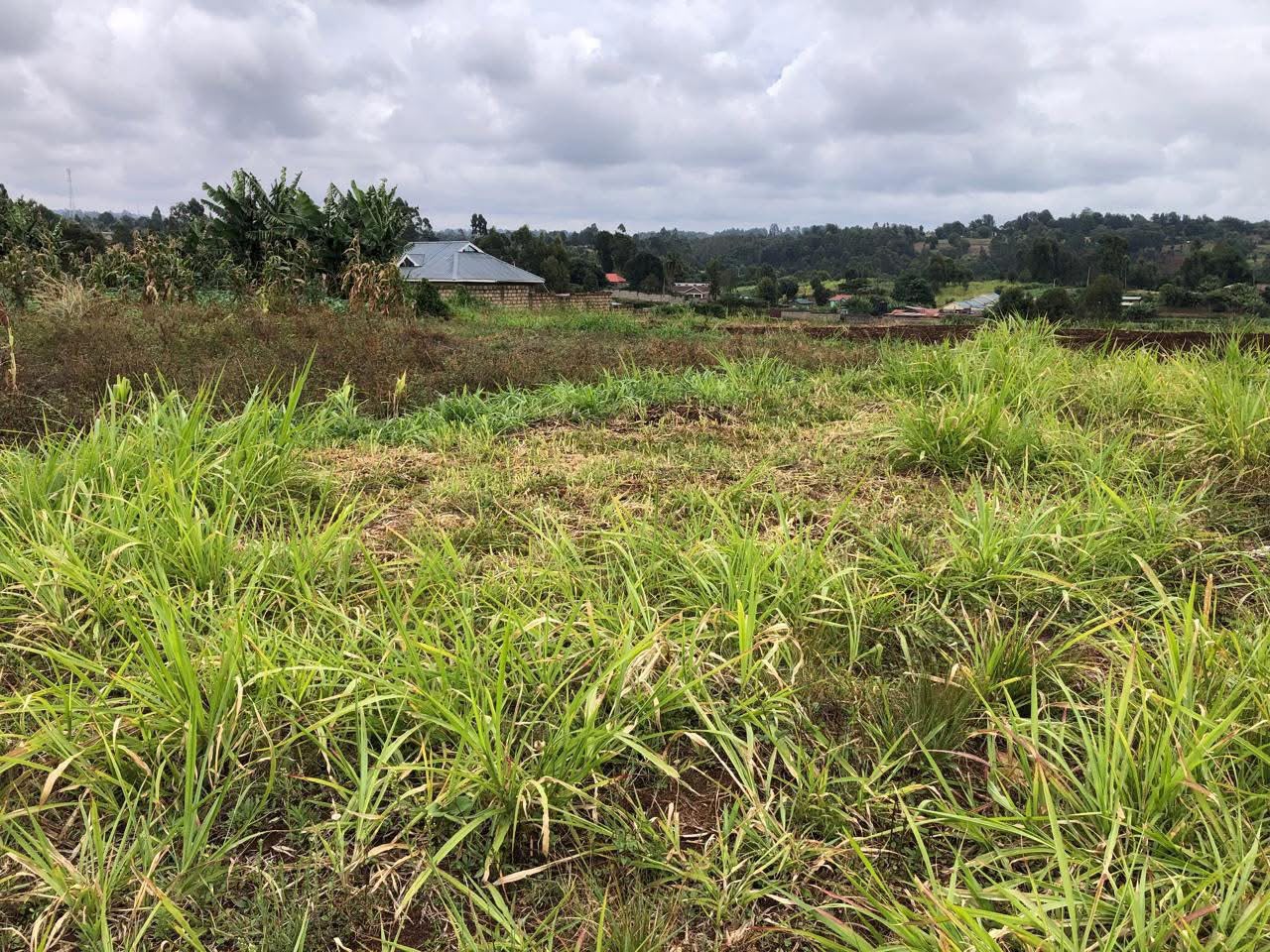25 Acres for Sale in Nyari Nairobi