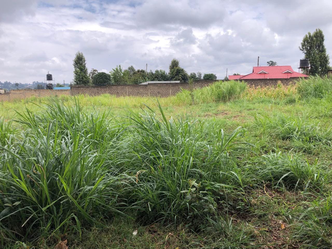 25 Acres for Sale in Nyari Nairobi