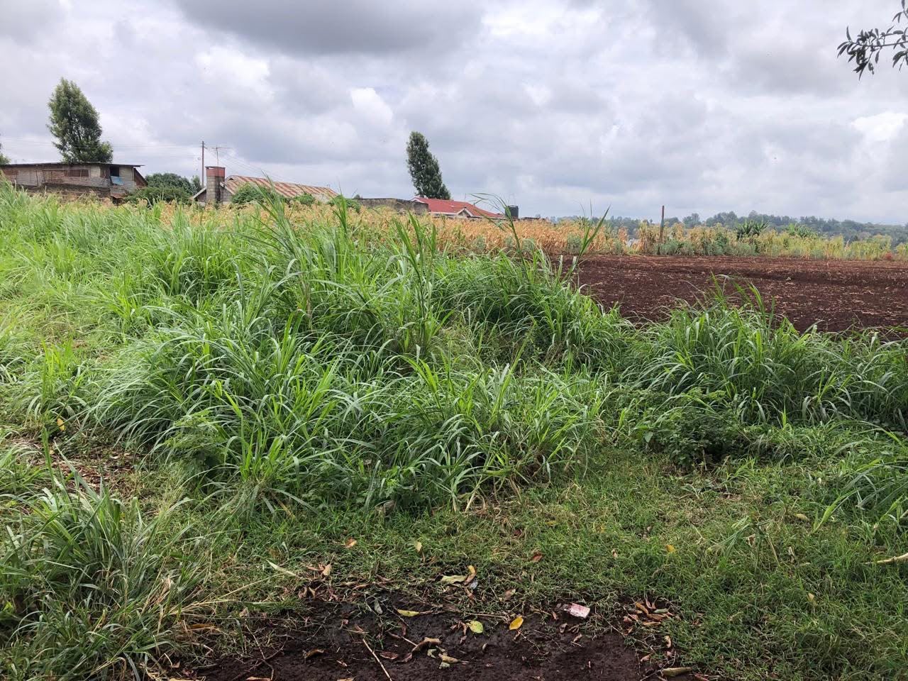 25 Acres for Sale in Nyari Nairobi
