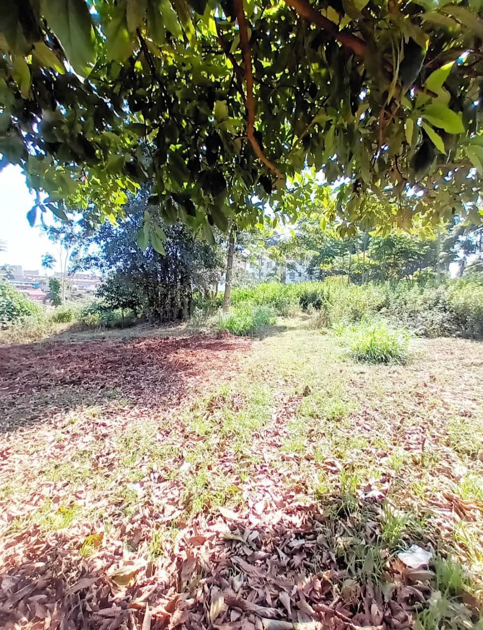 1-Acre Commercial Land for Lease on Waiyaki Way