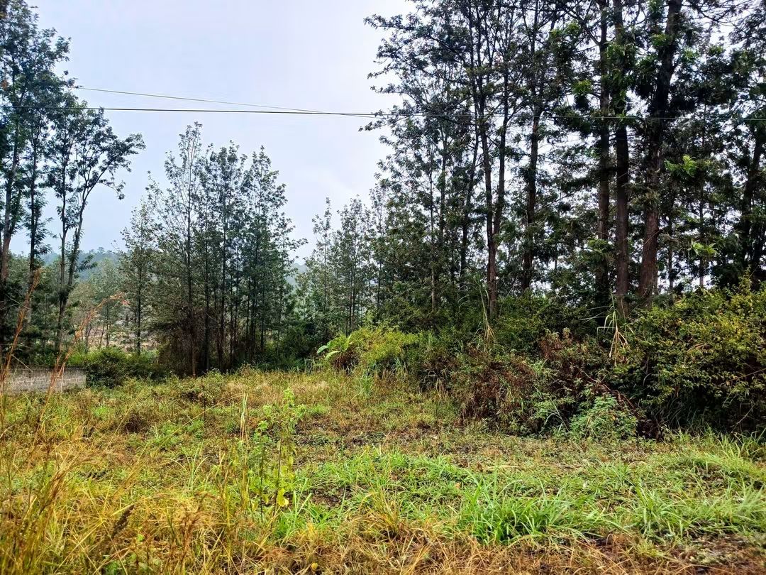 Maragua, Murang’a 8-Acre Farm for Sale