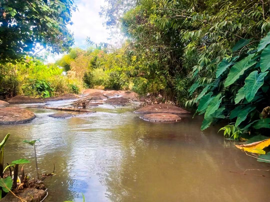 Maragua, Murang’a 8-Acre Farm for Sale