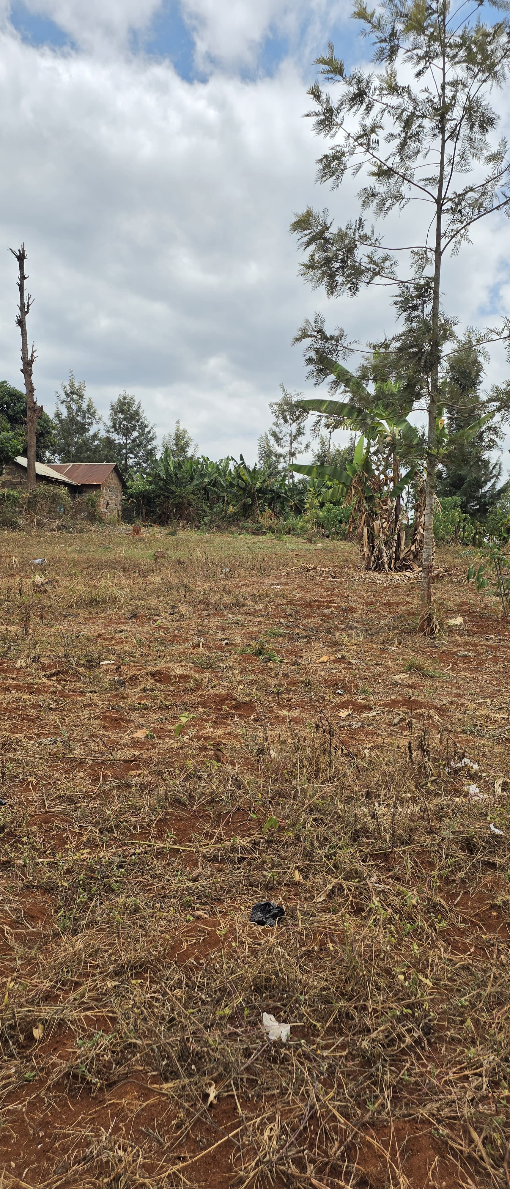 85 × 200ft  Residential land for sale in Mugutha, Ruiru