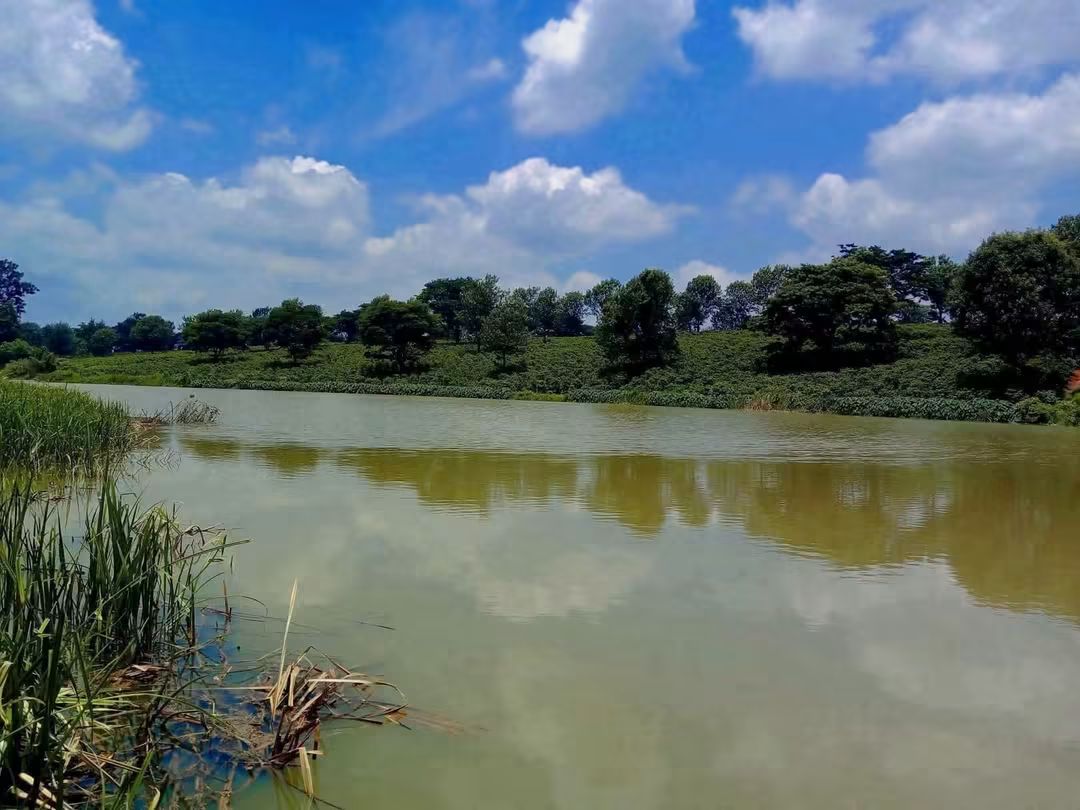 9 Acres for Sale in Ruiru with Tarmac & Dam Frontage