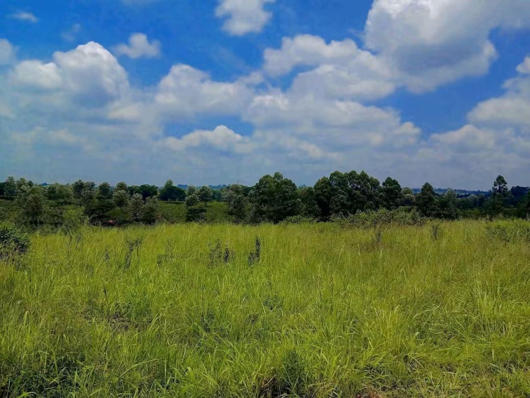 9 Acres for Sale in Ruiru with Tarmac & Dam Frontage