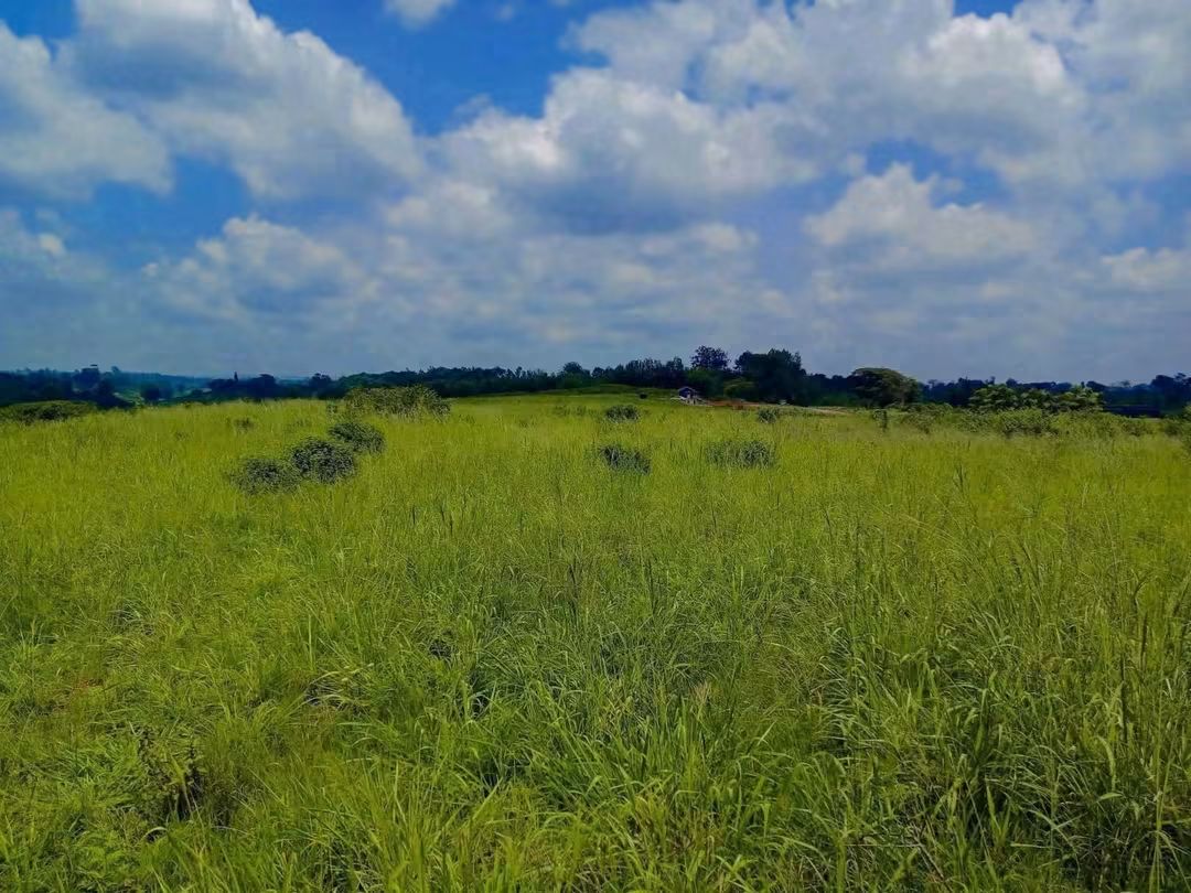 9 Acres for Sale in Ruiru with Tarmac & Dam Frontage