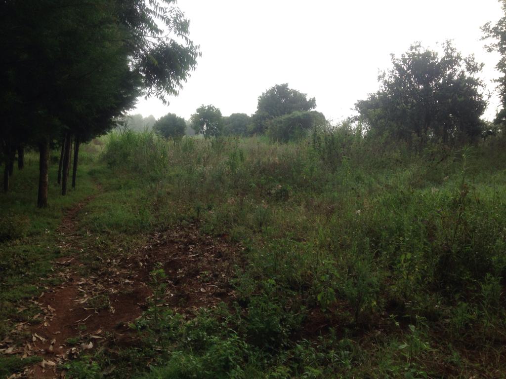 2 Acres Prime land Sale in Kikuyu Kiambu
