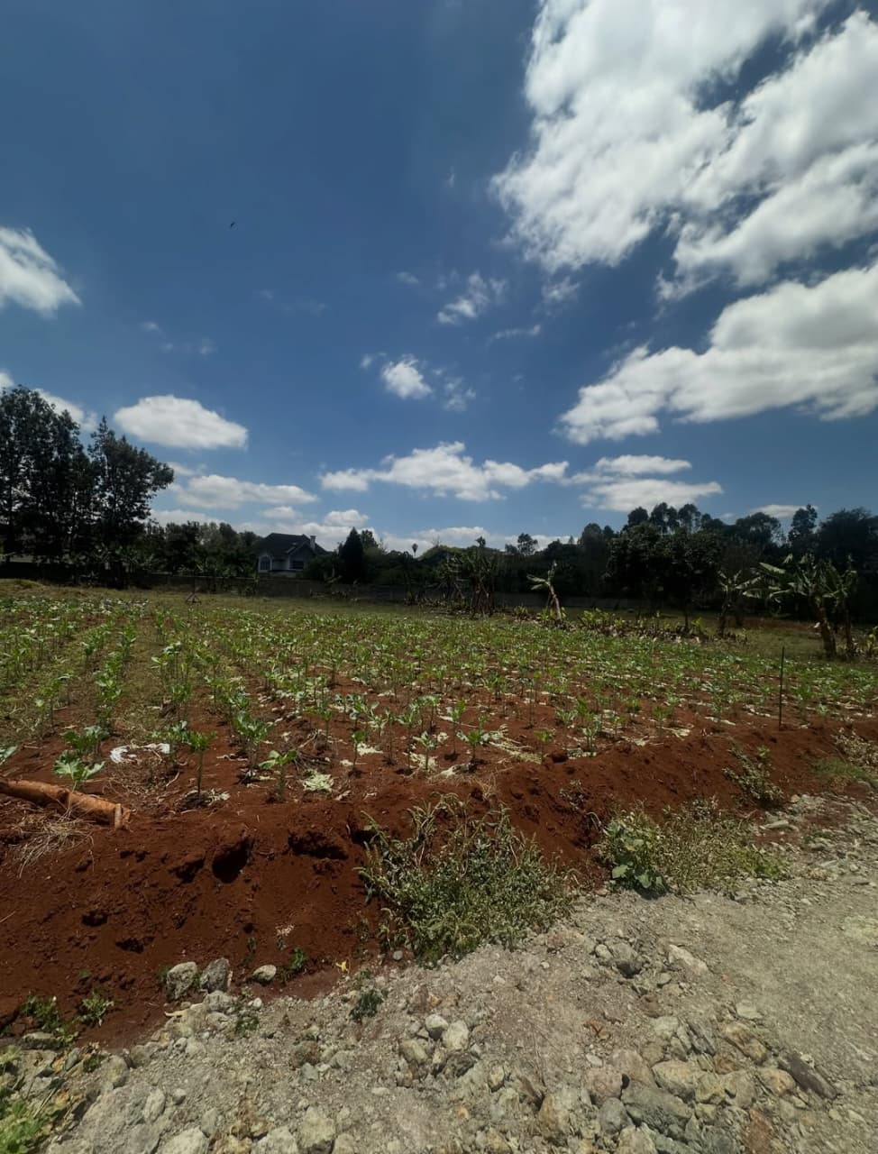 ½ Acre Residential land for Sale in Windy Ridge, Karen