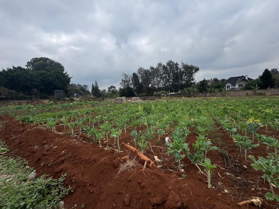 ½ Acre Residential land for Sale in Windy Ridge, Karen