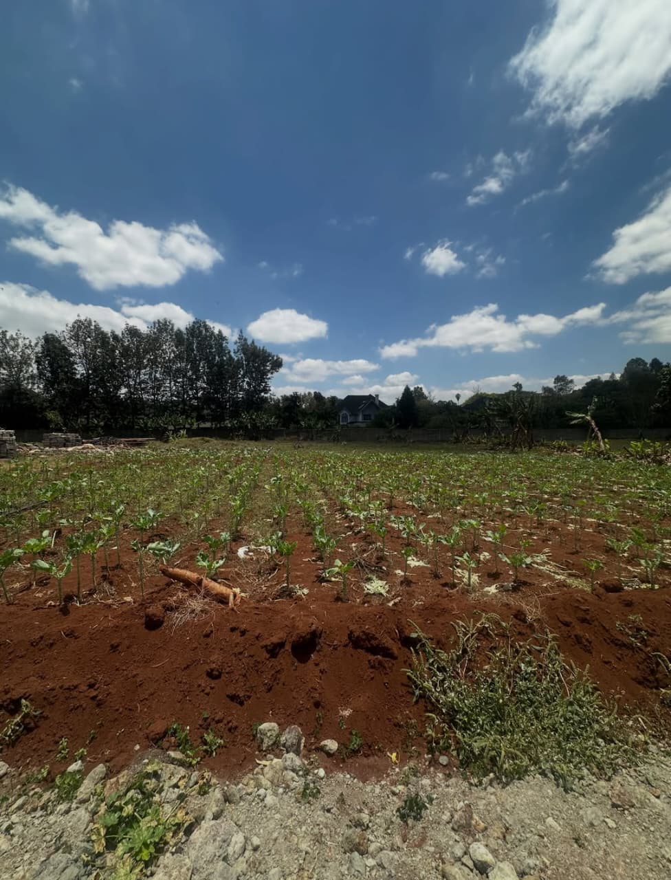 ½ Acre Residential land for Sale in Windy Ridge, Karen