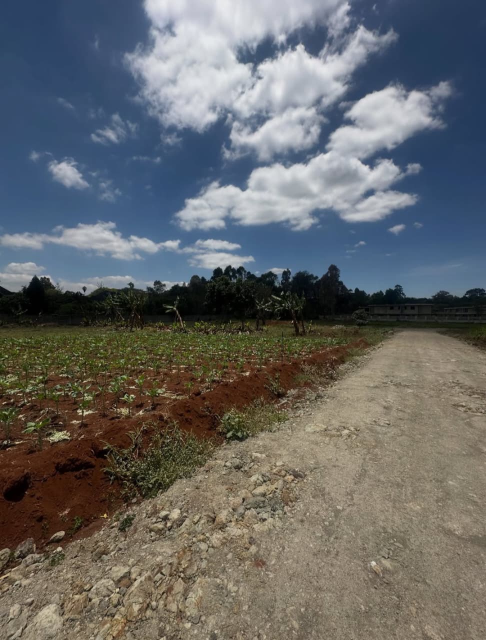 ½ Acre Residential land for Sale in Windy Ridge, Karen