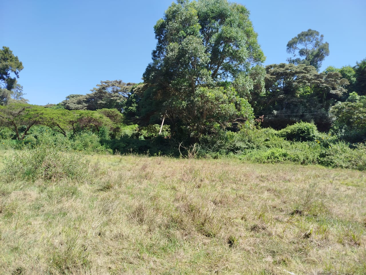 5 Acres Commercial Land for Sale in Karen, Dagoretti Road