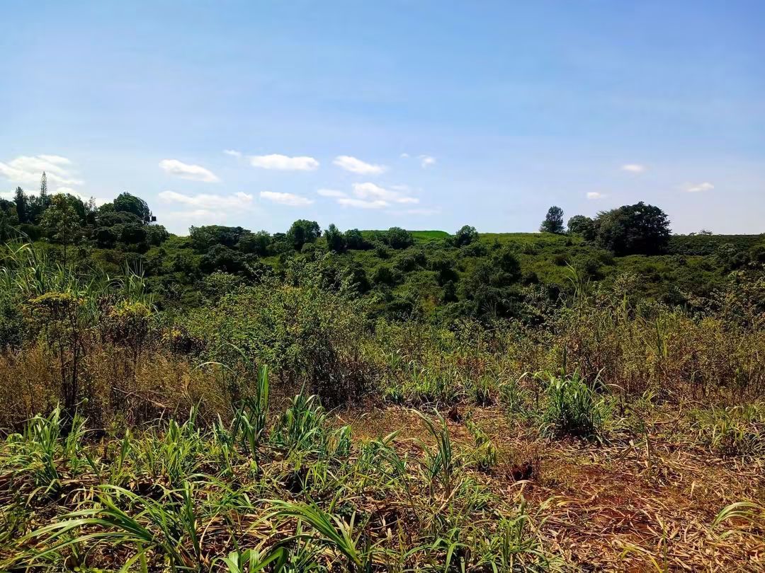 3.5 Acres for Sale on Thika–Mang'u Road