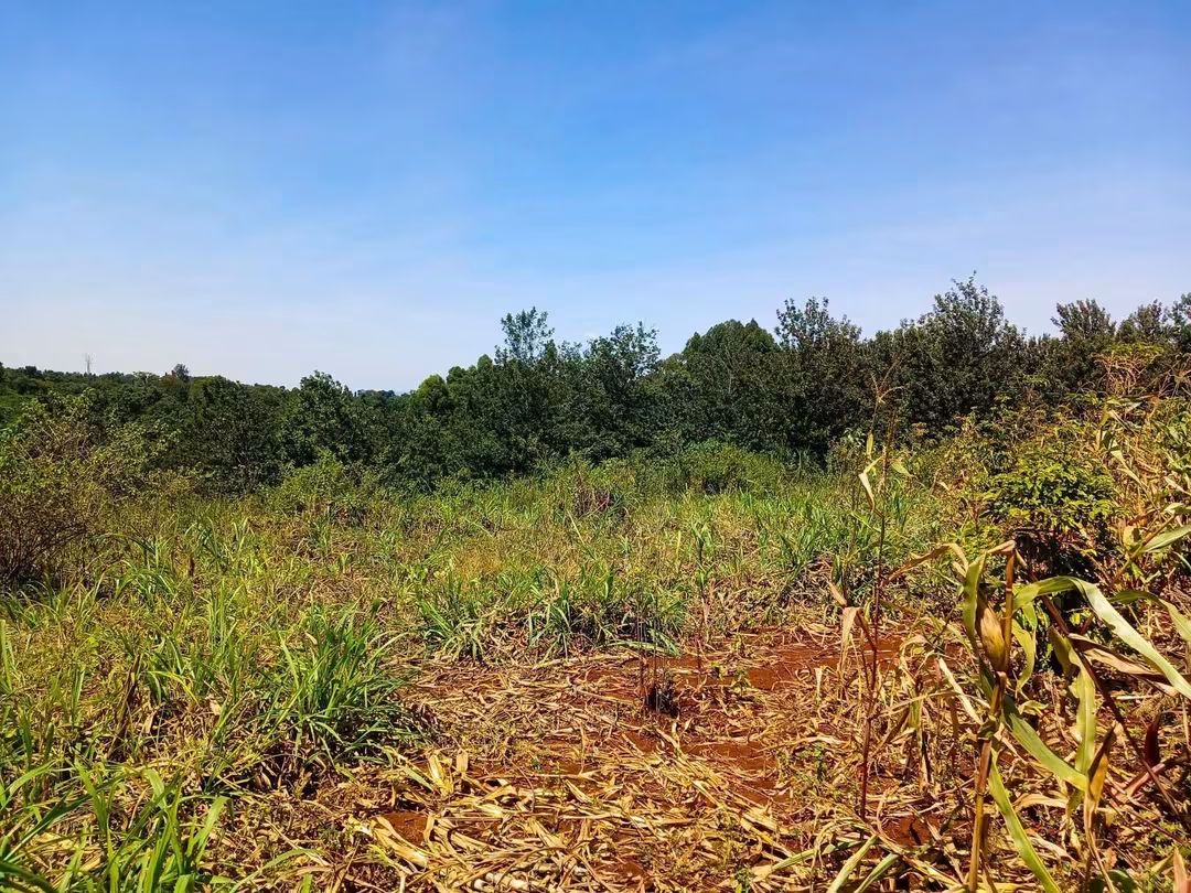 3.5 Acres for Sale on Thika–Mang'u Road