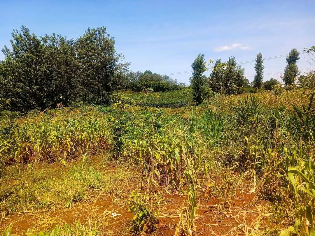 3.5 Acres for Sale on Thika–Mang'u Road