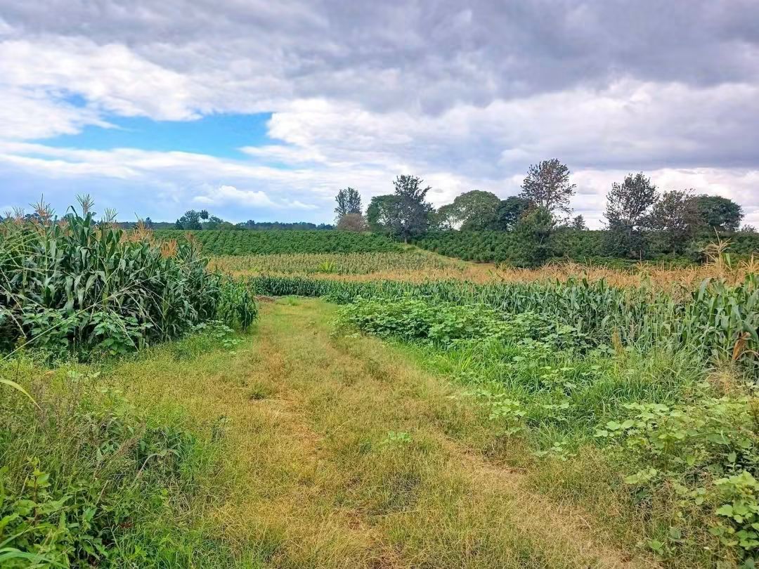 20 Acres Freehold Land for Sale, Kenyatta Road, Gatundu