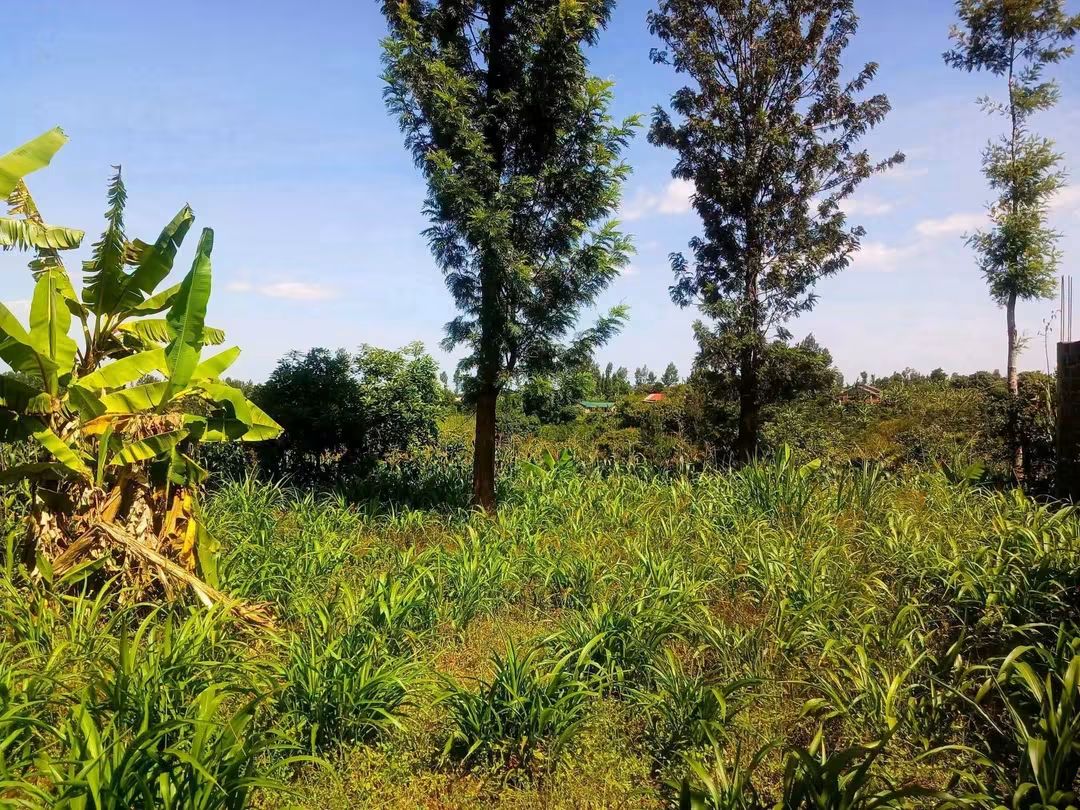 2 Acres for Sale on Thika–Gatanga Road