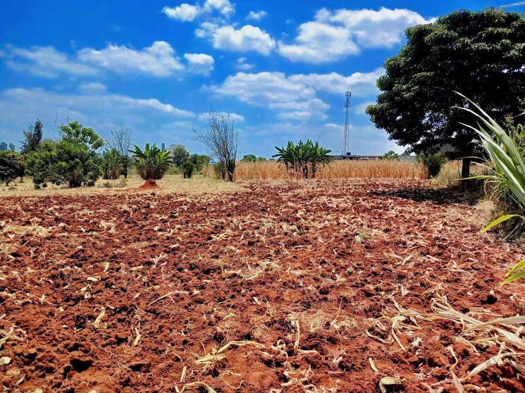 50×100 Commercial Plot for Sale in Kimbo, Ruiru