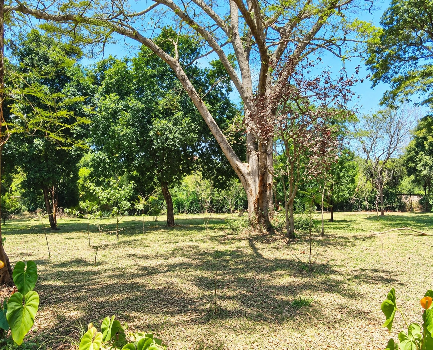 2 Acres Residential Land for Sale in Karen Hardy