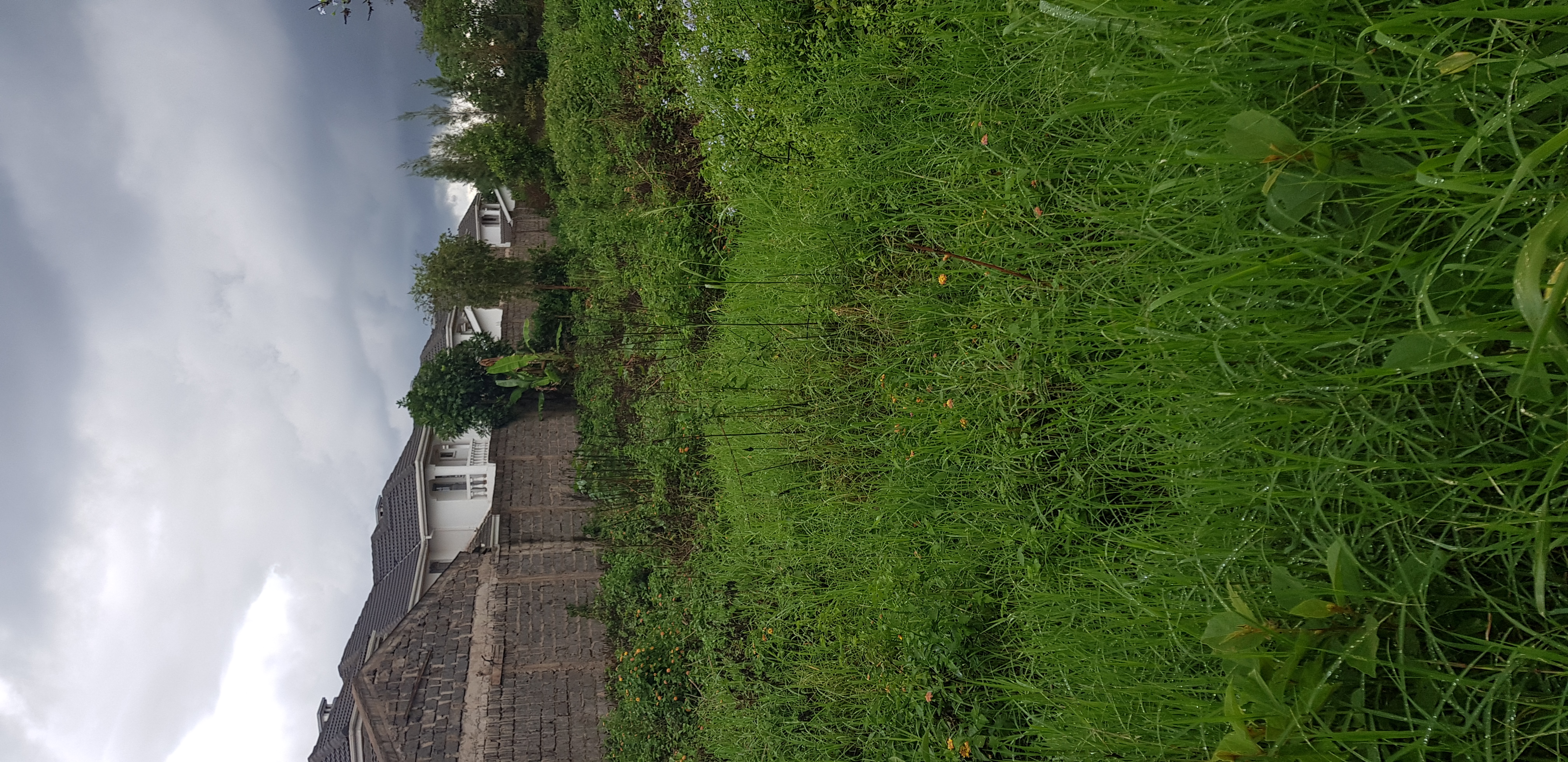 Plot for sale in Kiambu Kamiti road Near Tatu city
