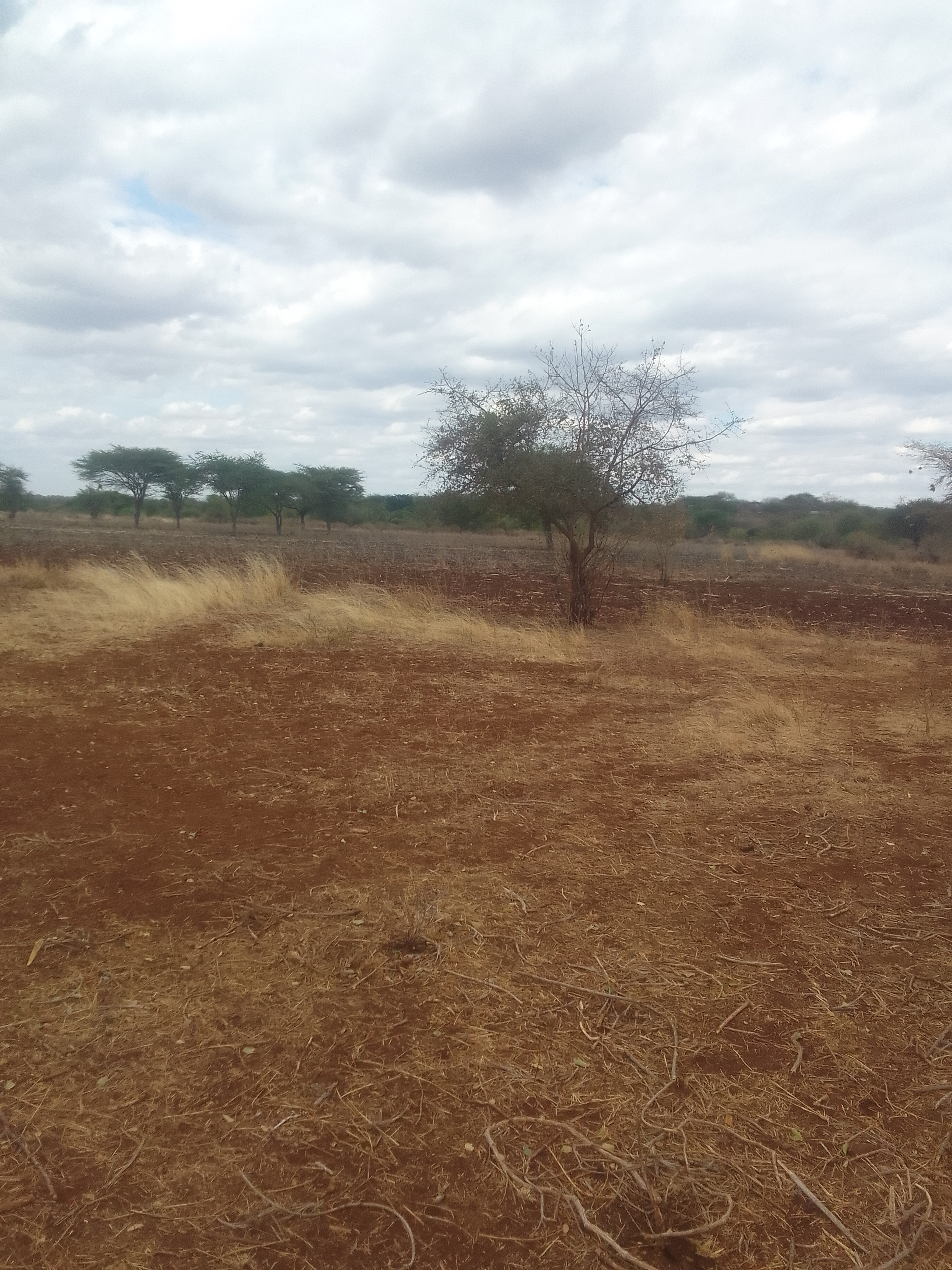 🏘️ Modern Residential Plot for Sale in Josca MACHAKOS County — Prime Investment Opportunity | KultaProperties