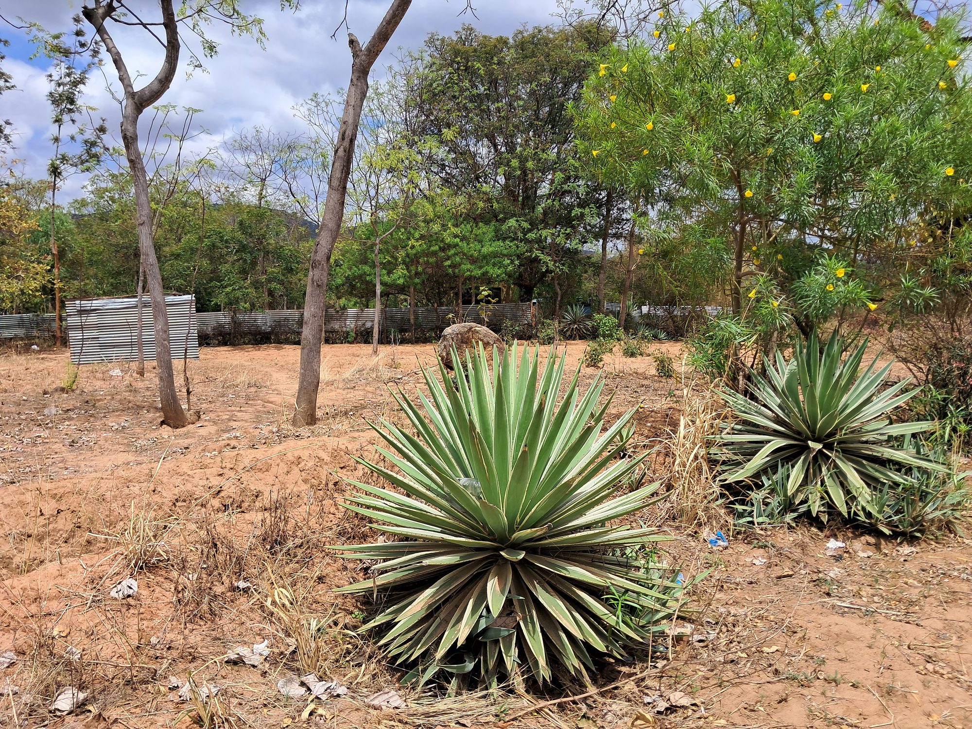 EMBU COUNTY ,KIRITIRI  TOWN RESIDENTIAL PLOT