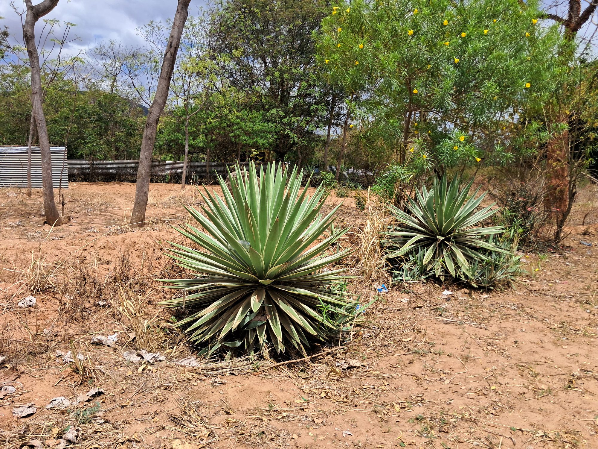 EMBU COUNTY ,KIRITIRI  TOWN RESIDENTIAL PLOT
