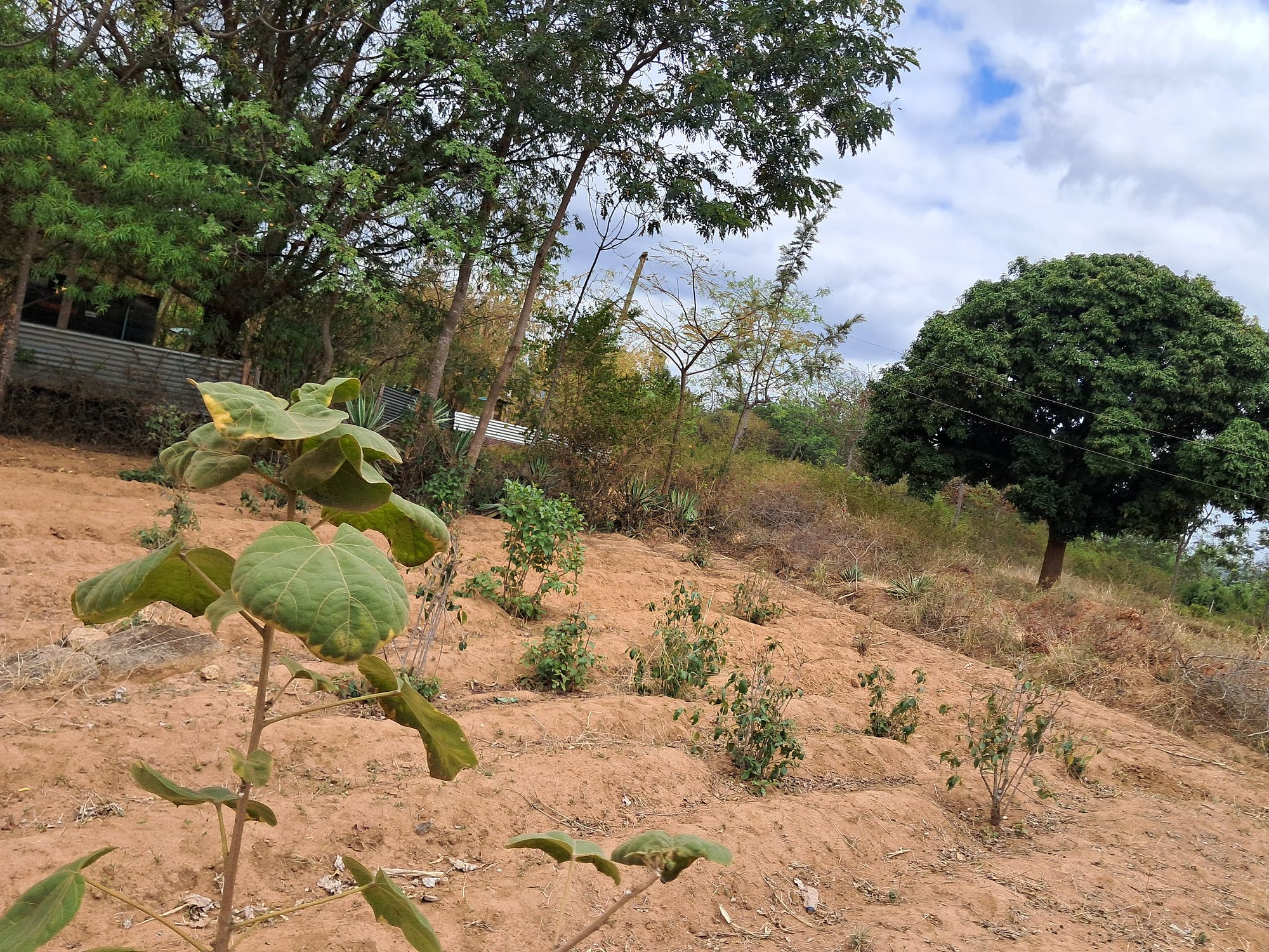EMBU COUNTY ,KIRITIRI  TOWN RESIDENTIAL PLOT